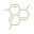 cell